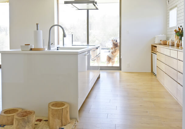 アイランドキッチンから見える広々とした窓の外にいる愛犬。LDKと庭を繋ぐ自由な動線